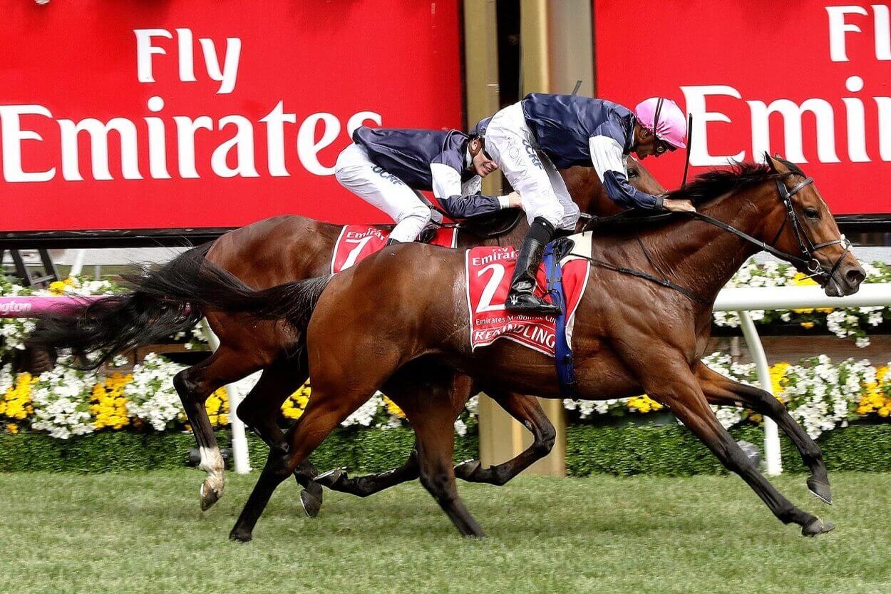 Melbourne Cup: Australian born-and-bred Horse Wins $8m Cup - The
